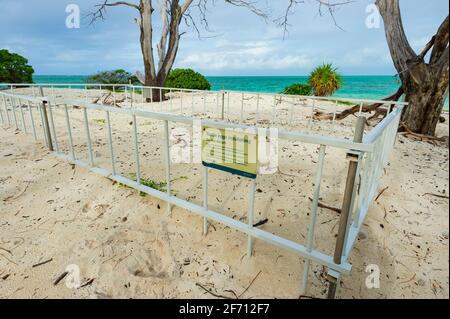 Gehege zum Schutz der Schildkröteneier am Strand von Heron Island, Southern Great Barrier Reef, Queensland, QLD, Australien Stockfoto