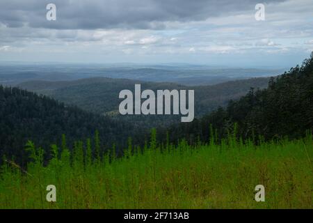 Blick von den Bunya Mountains Stockfoto