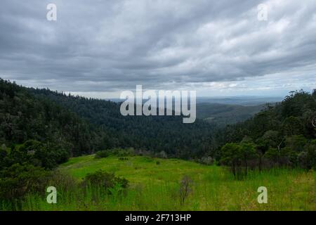 Blick von den Bunya Mountains Stockfoto