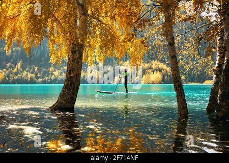 Mann schwimmt im Herbst auf einem SUP-Brett am Bergsee in der Nähe des gelben Waldes. Abenteuer beim Stand Up Paddle Boarding. Stockfoto