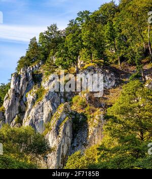 Kronenfelsen - Skaly Koronne - Jurassisches Massiv mit Handschuh Felsen - Rekawica - im Tal des Pradnik-Baches von Krakau-Czestochowa Upland in Ojcow in Polen Stockfoto