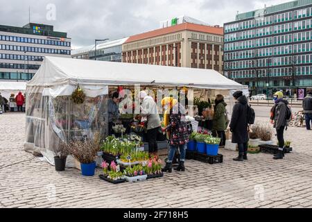 Menschen, die Schnittblumen, Blumensträuße und Balkonblumen an einem mit Festzelt bedeckten Blumenstand auf dem Hakaniemi-Marktplatz in Helsinki, Finnland, kaufen Stockfoto