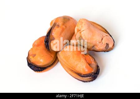 Muscheln ohne Schale auf weißem Hintergrund. Stockfoto