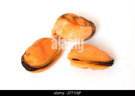 Muscheln ohne Schale auf weißem Hintergrund. Stockfoto