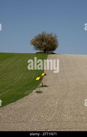 LANDWIRTSCHAFTLICHE BETRIEBE UND SYLO-GETREIDE - LANDWIRTSCHAFT UND BEWÄSSERUNG FELDFRÜCHTE - CHARENTE FRANKREICH © FRÉDÉRIC.BEAUMONT Stockfoto