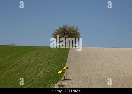 LANDWIRTSCHAFTLICHE BETRIEBE UND SYLO-GETREIDE - LANDWIRTSCHAFT UND BEWÄSSERUNG FELDFRÜCHTE - CHARENTE FRANKREICH © FRÉDÉRIC.BEAUMONT Stockfoto