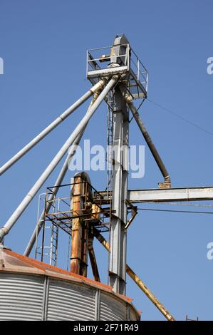 LANDWIRTSCHAFTLICHE BETRIEBE UND SYLO-GETREIDE - LANDWIRTSCHAFT UND BEWÄSSERUNG FELDFRÜCHTE - CHARENTE FRANKREICH © FRÉDÉRIC.BEAUMONT Stockfoto