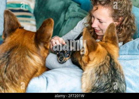 Die junge Frau sitzt auf dem Sofa mit ihrem kleinen Jack Russell Terrier Welpen in den Armen. Zwei aus Fokus Deutsche Schäferhunde schauen neugierig an Stockfoto