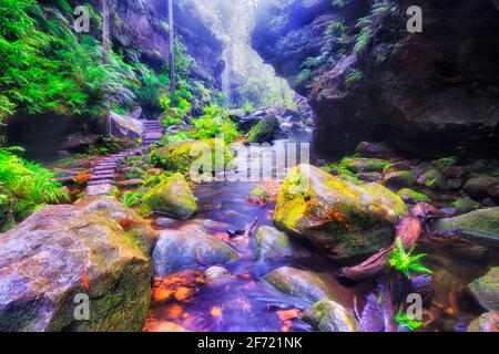 Tiefer Canyon mit Laufstreifen im Blue Mountains National Park von Australien - regnerisches, feuchtes Wetter und Wasserfälle. Stockfoto