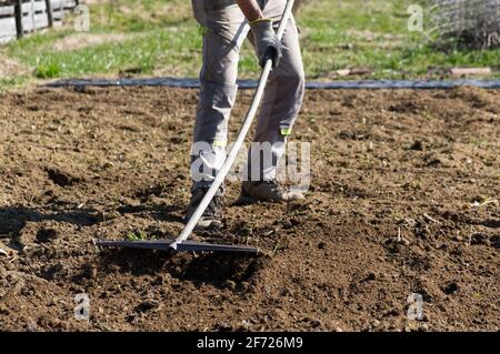 Ein Bauer bereitet den Boden für den Sommergarten vor Mit einem Rechen Stockfoto