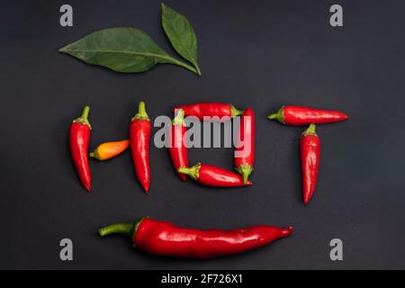 Heißes Wort aus rotem scharfem Chilli auf dunkliem Hintergrund. Stockfoto