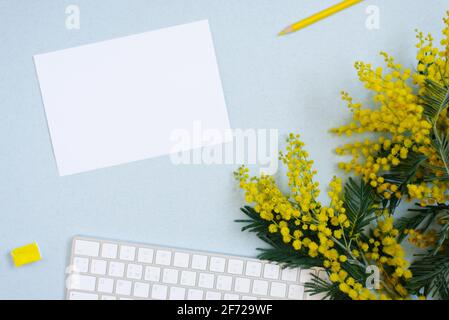 Weißes Blatt Papier für Textkopien, umgeben von Frühlingsmimosen, kabellose Tastatur mit gelbem Bleistift, Aquarelle in Gräben auf blauem Hintergrund Stockfoto