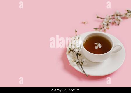 Weiße Porzellanbecher mit schwarzem Tee. Zweige eines blühenden Apfelbaums liegen auf einem sanften rosa Hintergrund. Frühjahrskonzept. Speicherplatz kopieren Stockfoto