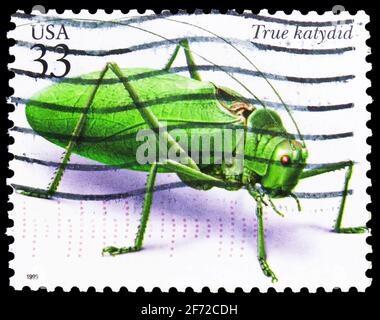 MOSKAU, RUSSLAND - 19. JANUAR 2021: Die in den USA gedruckte Briefmarke zeigt Common True Katydid (Pterophylla camellifolia), Insekten und Spinnen Stockfoto