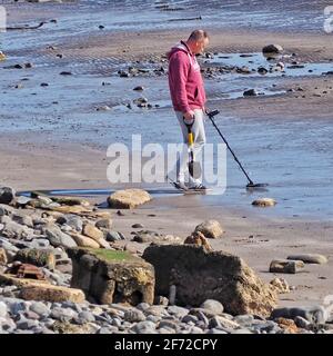 Ein Detektorist, der am Strand nach verschütteten Schätzen gräbt Stockfoto