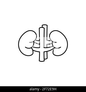 Symbol für die Farblinie der menschlichen Organniere. Piktogramm für Webseite, mobile App, Promo. UI UX GUI Design Element. Bearbeitbare Kontur. Stock Vektor