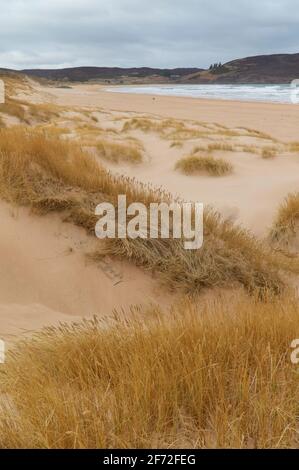 Sanddünen am Torrisdale Beach, Sutherland Stockfoto