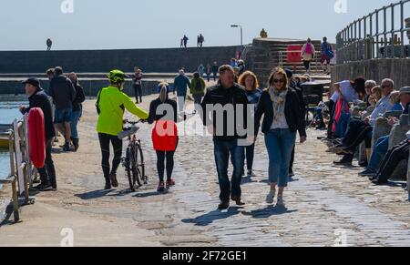 Lyme Regis, Dorset, Großbritannien. April 2021. Wetter in Großbritannien. An einem sonnigen Ostersonntag schlendern die Menschen entlang des Cobb Harbour. Kredit: Celia McMahon/Alamy Live Nachrichten Stockfoto
