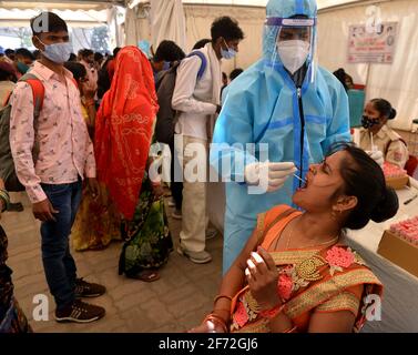 Neu-Delhi, Indien. April 2021. Ein Gesundheitsmitarbeiter nimmt eine Abstrichprobe eines Passagiers für den COVID-19-Test am Busbahnhof Anand Vihar in Neu-Delhi, Indien, 4. April 2021. Die Zahl der COVID-19 in Indien stieg am Sonntag auf 12,485,509, wobei aus dem ganzen Land 93,249 neue Fälle gemeldet wurden, die höchste Tageszahl seit September letzten Jahres. Quelle: Partha Sarkar/Xinhua/Alamy Live News Stockfoto