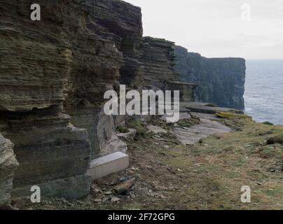 Stoat Falle auf Klippen bei Marwick Head, Orkney Isles Stockfoto