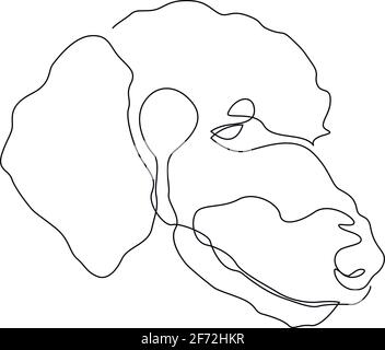 Einzelne durchgehende Linie Pudel Hund Porträt. Hundekopf eine Linienzeichnung. Vektorgrafik Stock Vektor