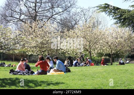 London, Großbritannien, 4. April 2021. Gutes Wetter kehrte nach London für Ostersonntag mit Temperaturen von 15 Grad. Freunde und Familien genossen Picknicks unter den Bäumen in Blossom im Regents Park. Quelle: Monica Wells/Alamy Live News Stockfoto