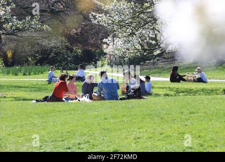 London, Großbritannien, 4. April 2021. Gutes Wetter kehrte nach London für Ostersonntag mit Temperaturen von 15 Grad. Freunde und Familien genossen Picknicks unter den Bäumen in Blossom im Regents Park. Quelle: Monica Wells/Alamy Live News Stockfoto