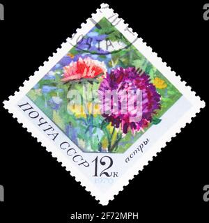 MOSKAU, RUSSLAND - 12. JANUAR 2021: Die in der UdSSR (Russland) gedruckte Briefmarke zeigt Aster, Flowers Serie, um 1970 Stockfoto