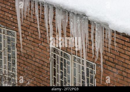 Im Winter hängen lange Eiszapfen vom Dach eines Ziegelgebäudes an den Fenstern. Riesige Eiszapfen Stockfoto