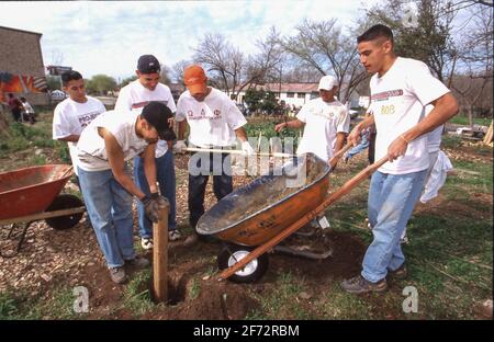 Austin, TX USA: Studenten nutzen Gartengeräte, während sie sich freiwillig für die Sanierung von Gemeinden in einkommensschwachen Wohnvierteln engagieren. ©Bob Daemmrich Stockfoto