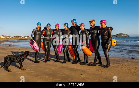 Eine Gruppe wilder Schwimmer posiert für ein Foto am Strand und einen Hund in Milsey Bay, North Berwick, East Lothian, Schottland, Großbritannien Stockfoto