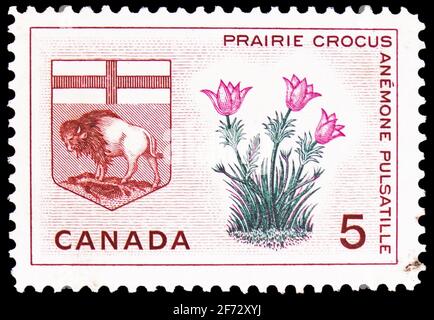 MOSKAU, RUSSLAND - 12. JANUAR 2021: Die in Kanada gedruckte Briefmarke zeigt Manitoba, Präriar Crocus, Provincial Emblems Serie, um 1965 Stockfoto