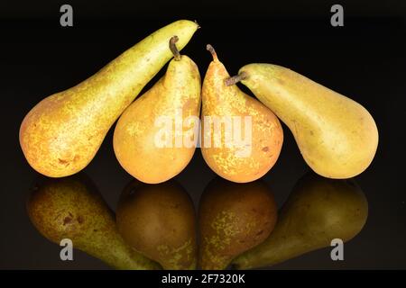 Vier reife Bio-süße saftige Konferenzbirnen auf schwarzem Hintergrund. Stockfoto