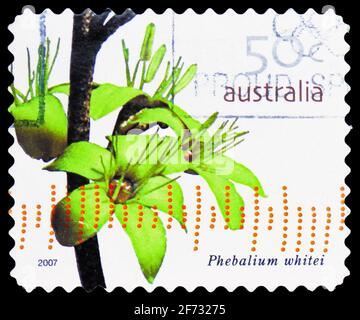 MOSKAU, RUSSLAND - 12. JANUAR 2021: Die in Australien gedruckte Briefmarke zeigt Phebalium whitei, Wildflowers Serie, um 2007 Stockfoto