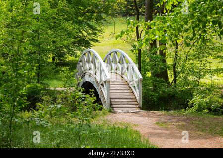 Weiße Bogenbrücke über den Fluss Grosse Roeder, Seifersdorfer Tal, Wachau, Sachsen, Deutschland Stockfoto