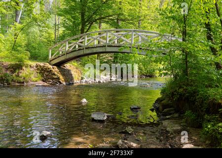 Weiße Bogenbrücke über den Fluss Grosse Roeder, Seifersdorfer Tal, Wachau, Sachsen, Deutschland Stockfoto