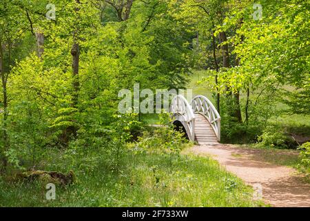 Weiße Bogenbrücke über den Fluss Grosse Roeder, Seifersdorfer Tal, Wachau, Sachsen, Deutschland Stockfoto