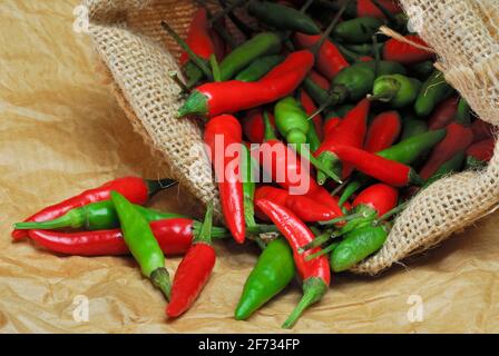 Paprika, Paprika, Chilis, Chili, Cayenne, cayennepfeffer (Capsicum frutescens) , Piri-Piri, Tabasco, Jutebeutel Stockfoto