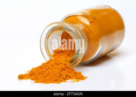 Turmericpuder (Curcuma longa) , , Stockfoto