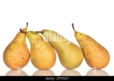 Eine Gruppe von vier Bio-frischen, saftigen, süßen, leckeren Konferenzbirnen, aus der Nähe, auf weißem Hintergrund. Stockfoto