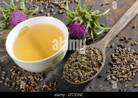 Tasse Distelmilchtee, Fieberdistel, Mariendistel, Distel (Silybum marianum), Stachelgras, Venusdistel, weiße Distel Stockfoto