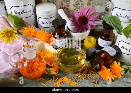 Ringelblume (Calendula officinalis), Echinacea purpurea, Mariendistel (Silybum marianum), Hopfen (Humulus lupulus), Elektampan, Tee, Salbe (Inula Stockfoto