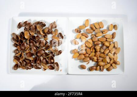 Eicheln geröstet, Englische Eiche, Sommereiche (Quercus robur), geröstet, geröstet, geschält, Muscheln, Seeds Stockfoto
