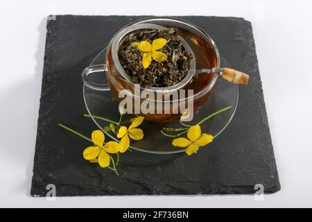 Tasse Zöliantee (Chelidonium majus), Zöliantee, Zöliantee, Zöliantee, Warzen, goldkohl, Teesieb Stockfoto