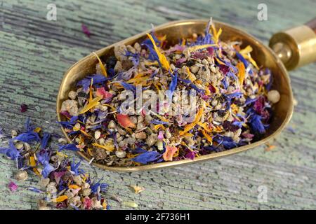 Blütenpfeffer, Pimento, Kardamom, Meersalz, Ringelblumenblüten, Kornblume, Rosenblätter Stockfoto