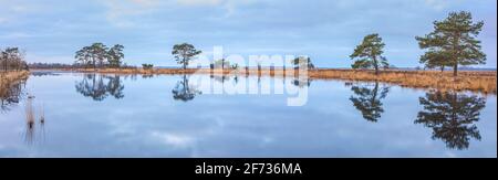 Der Nationalpark Dwingelderveld ist ein Nationalpark in der niederländischen Provinz Drenthe, etwa im Dreieck von Dwingeloo, Ruinen und Beilen. Stockfoto