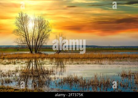 Das idyllische Naturschutzgebiet Bingenheimer Ried, in dem viele Wildvögel leben, liegt westlich von Bingenheim (Wetterau) in der Horloff-Aue. Stockfoto