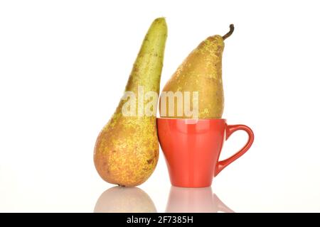 Zwei Bio-frische, saftige, süße, leckere Konferenzbirnen mit roter Keramikschale, Nahaufnahme, auf weißem Hintergrund. Stockfoto