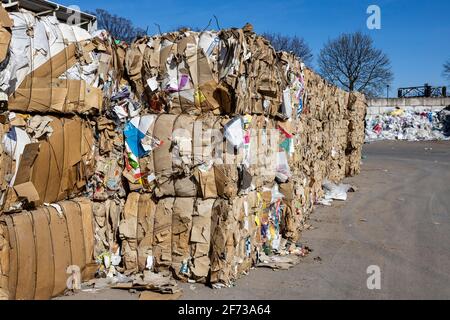 Papier- und Kartonballen im Recyclingwerk Duisburg, Nordrhein-Westfalen, Deutschland, Europa Stockfoto