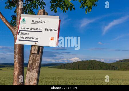 Hundekopf Güntersberge Wegbeschilderung durch den Harzklub Stockfoto